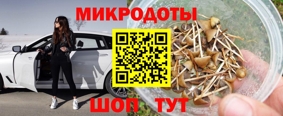 Псилоцибиновые грибы Psilocybine cubensis  Вход с VPN  Верхний Уфалей 